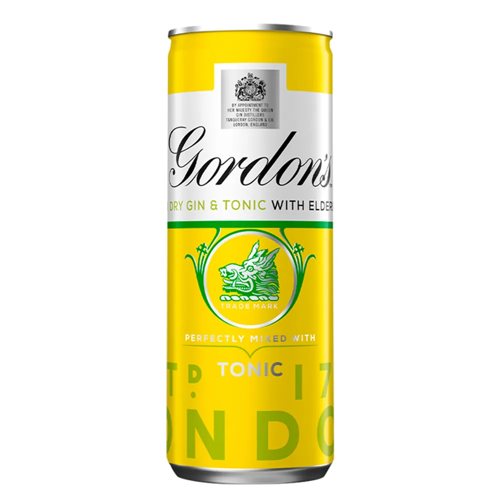 Gordon’s Dry Gin & Tonic Elderflower RTD 250ml